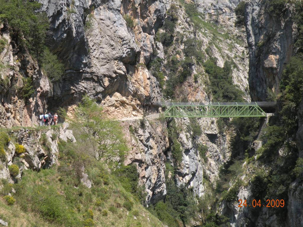 Escuela de naturaleza