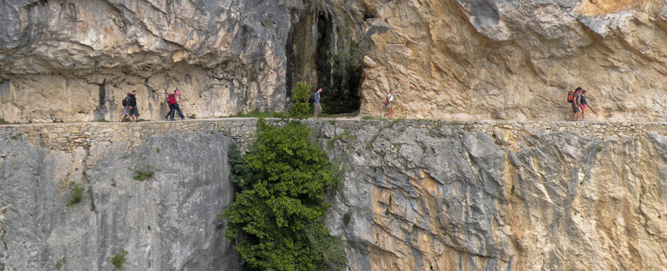 Escuela de Naturaleza